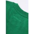 Heren T-shirts Flaneur SIGNATURE T-SHIRT.GREEN. Direct leverbaar uit de webshop van www.vipshop.nl/.