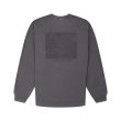 Heren T-shirts Carhartt WIP L/S TERRESTRIAL T.BLACK / GRAPHITE. Direct leverbaar uit de webshop van www.vipshop.nl/.